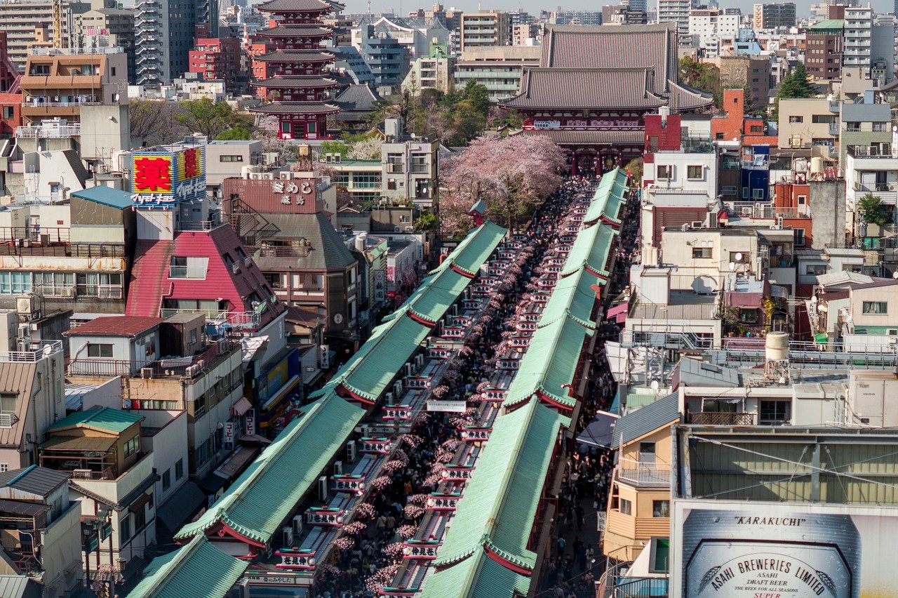 普陀高考后的新路径：为何选择去日本留学成就未来？
